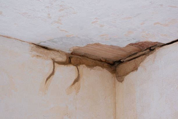 Best Flood damage cleanup  in Coral Springs, FL