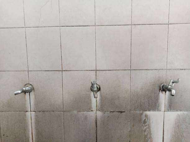 Best Local water damage restoration  in Coral Springs, FL