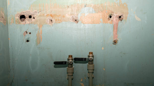 Best Commercial water damage restoration  in Coral Springs, FL